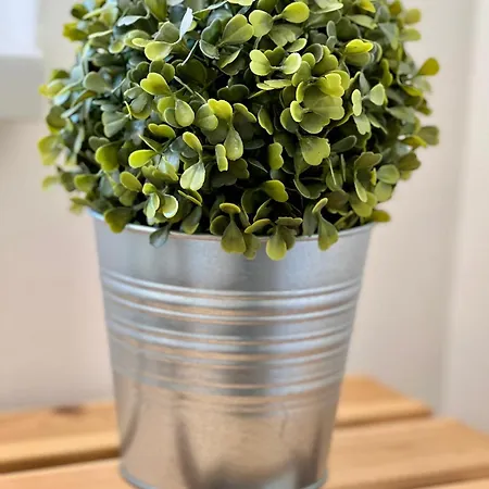 Rm-2 - Joli 2 Pieces Equipe Au 2eme Etage Pour 1-3 Pers Lejlighed *